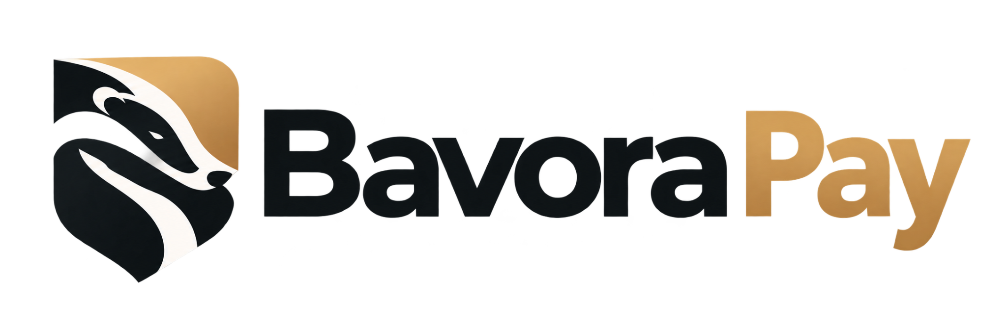 Bavora Pay